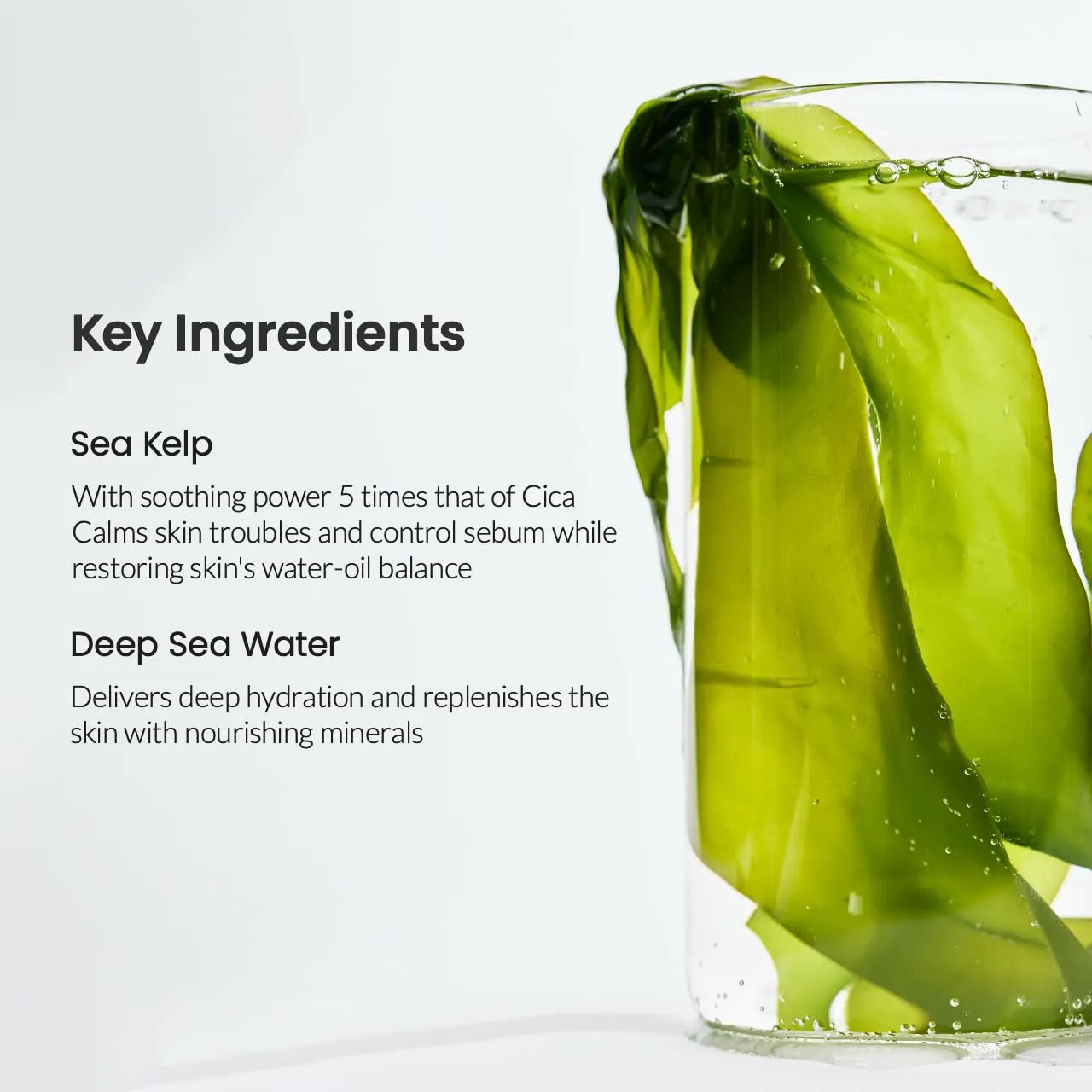 [ BIODANCE ] Refreshing Sea Kelp Real Deep Mask 1.19 oz x 4 ea