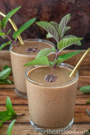 Absolute Hand and Body Lotion - Mint Chocolate Smoothie