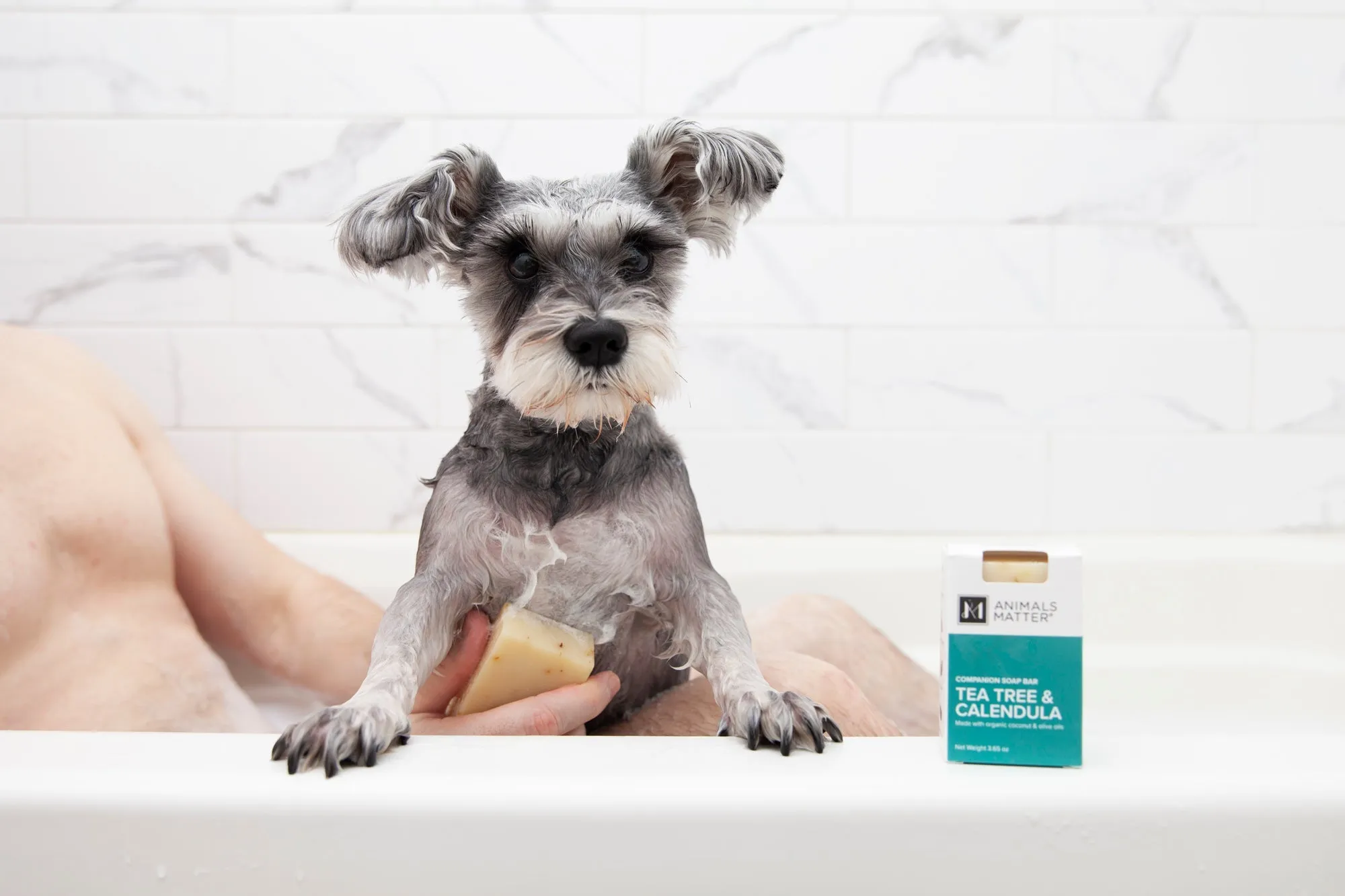 Animals Matter® Organic Companion Dog Soap Bar®