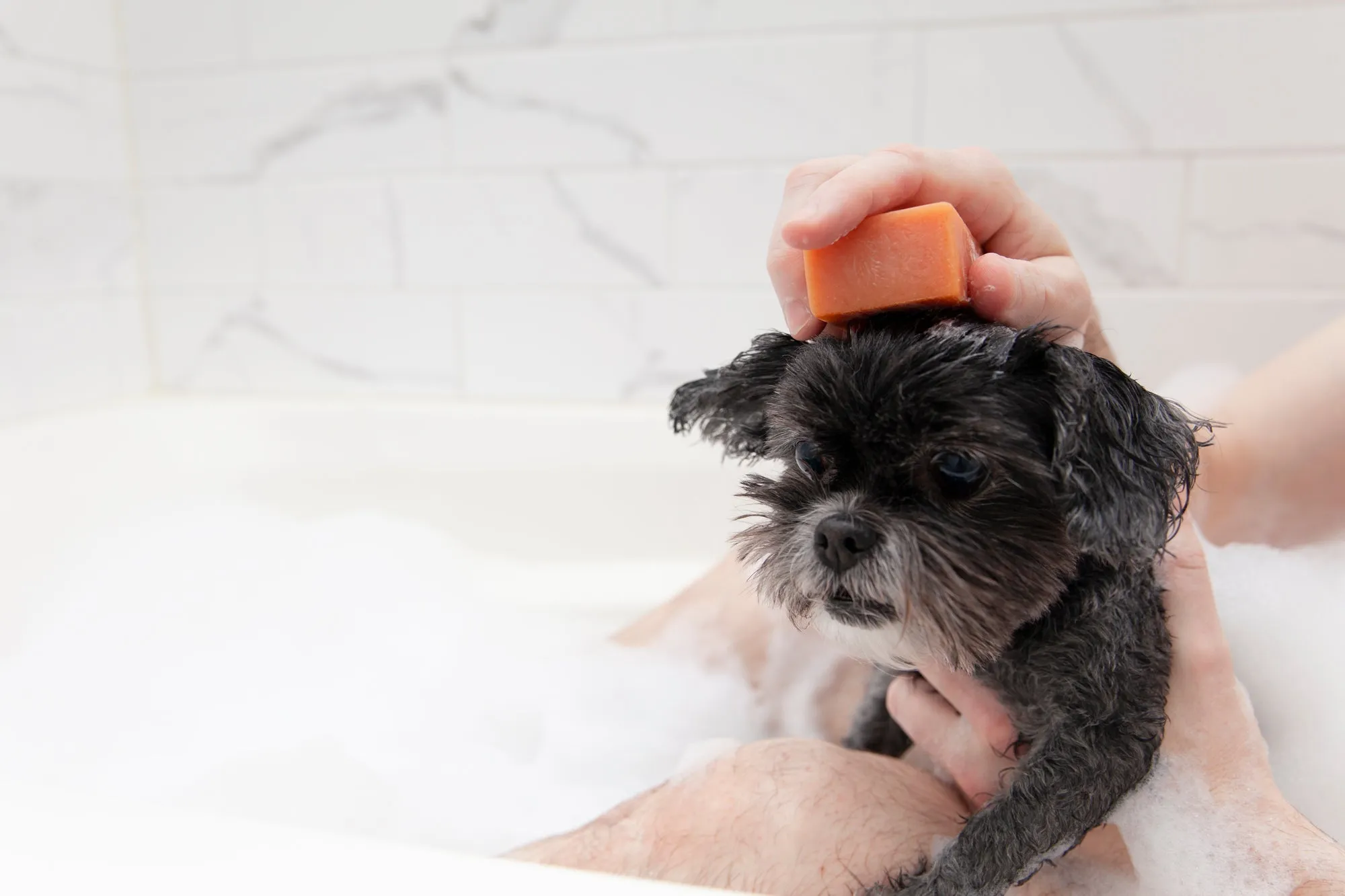Animals Matter® Organic Companion Dog Soap Bar®