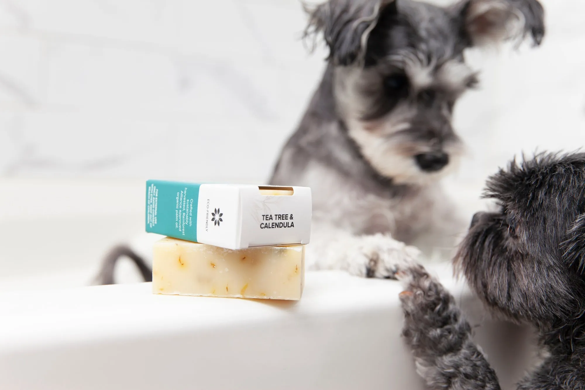 Animals Matter® Organic Companion Dog Soap Bar®