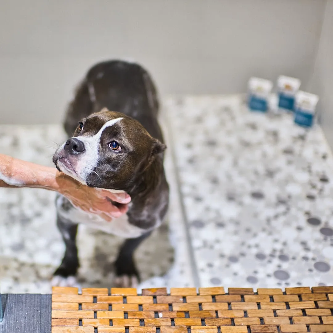 Animals Matter® Organic Companion Dog Soap Bar®