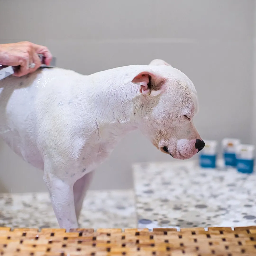 Animals Matter® Organic Companion Dog Soap Bar®