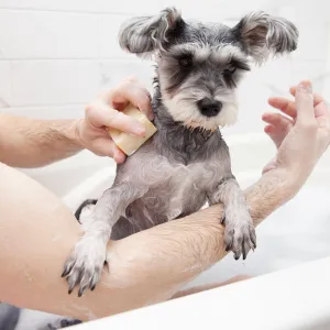 Animals Matter® Organic Companion Dog Soap Bar®