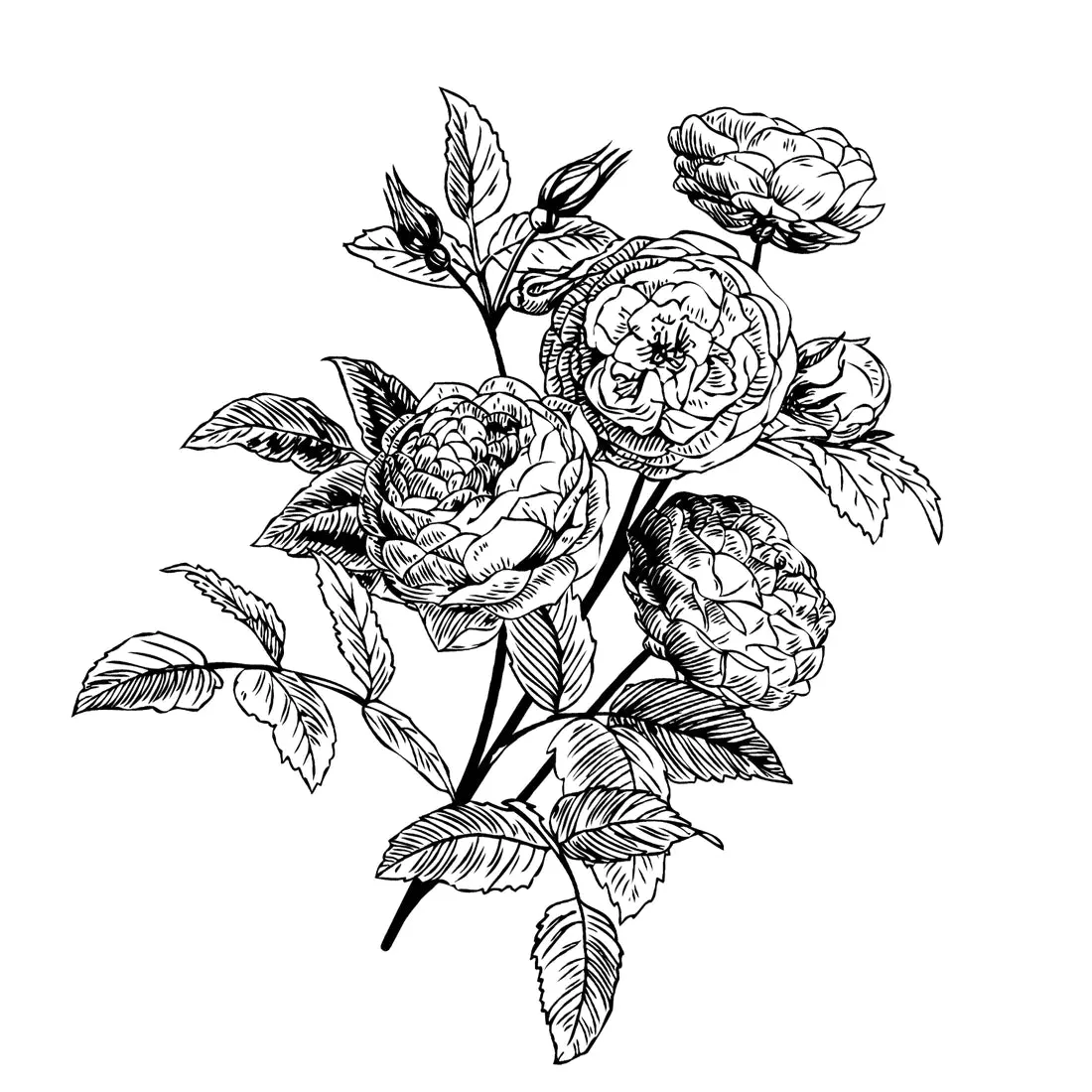 BALLON Apothecary Aroma Bath Salt - Rose