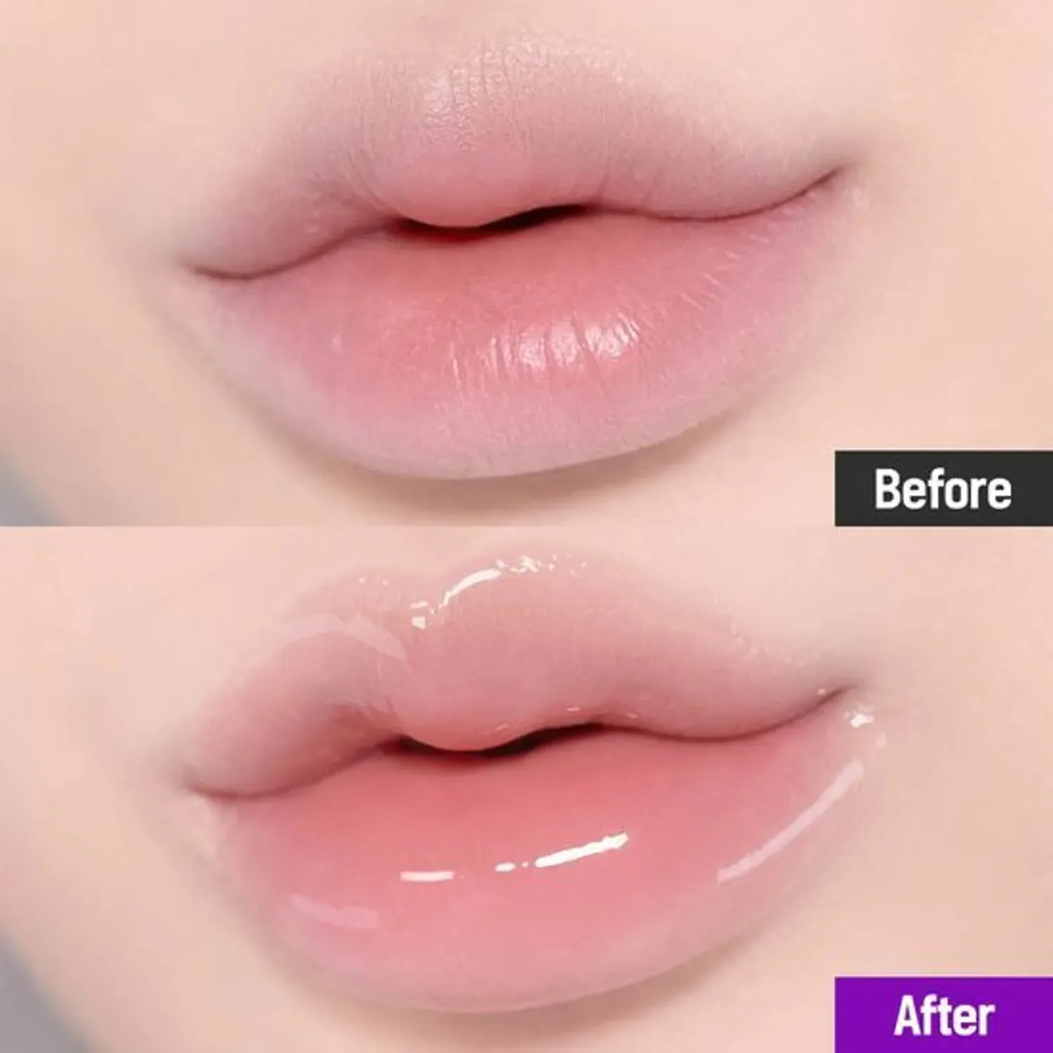 BIOHEAL BOH Probioderm Collagen Volume Lip Balm