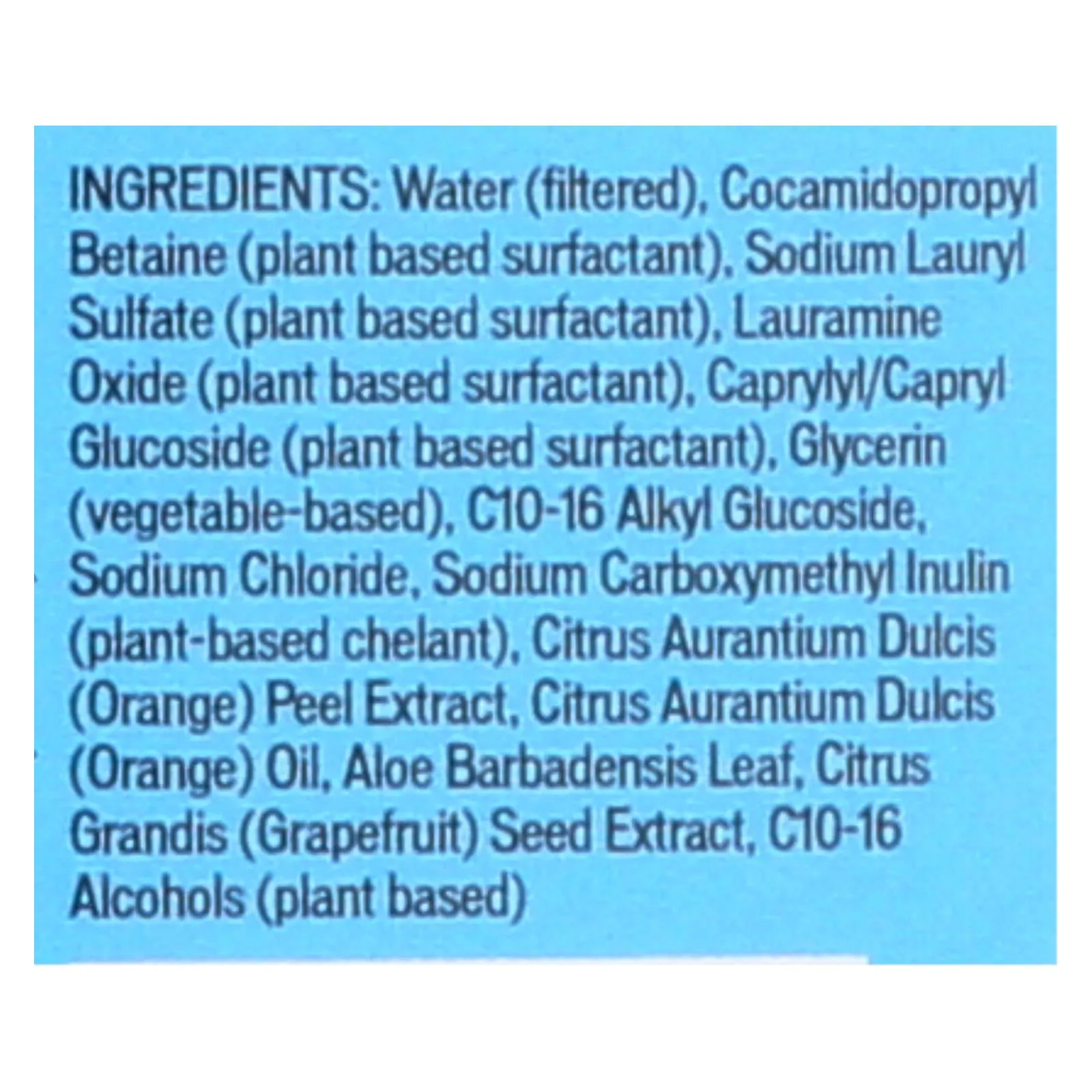 Biokleen Citrus Essence Hand Moisturizing Dish Liquid, 6-Pack (25 oz per bottle)