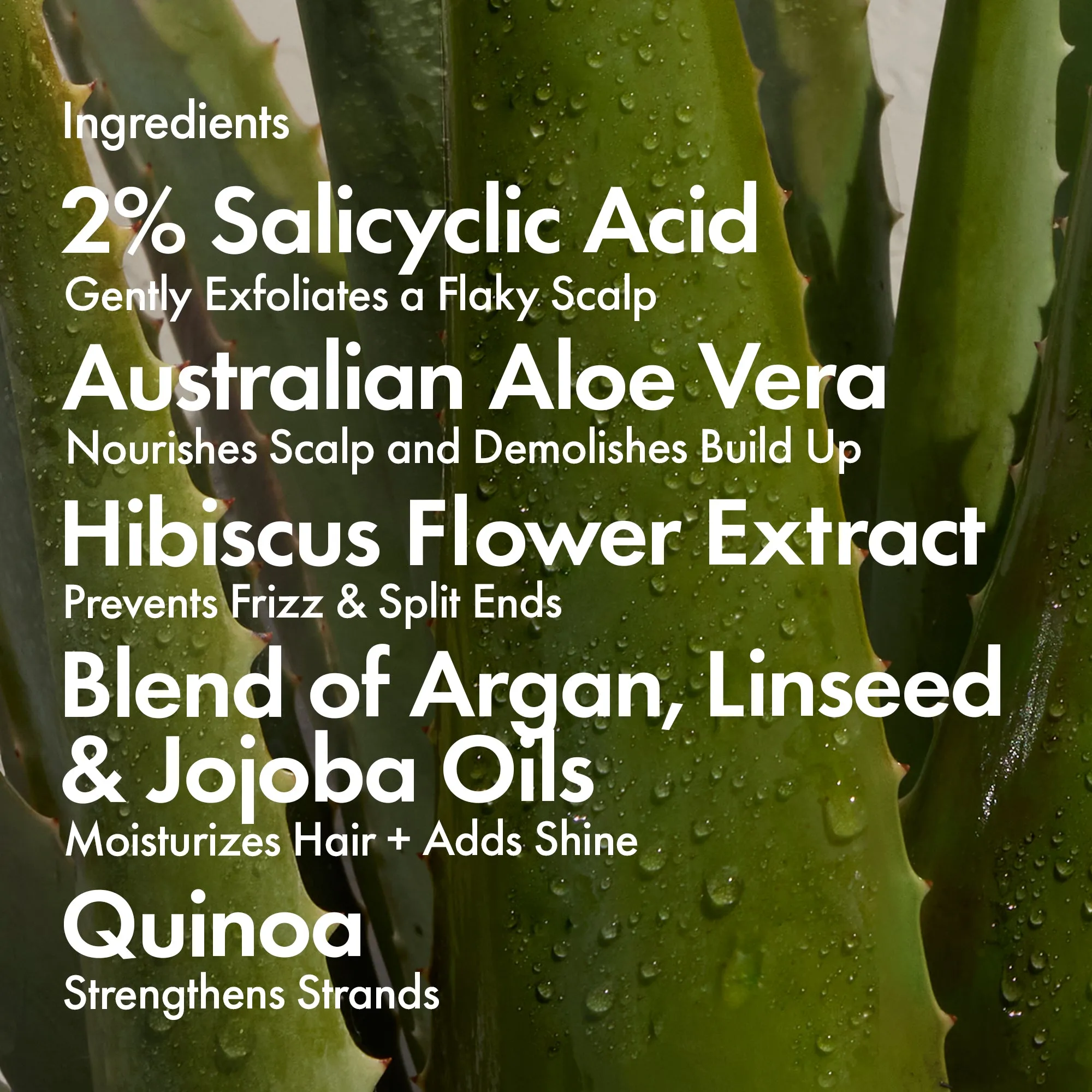Bondi Boost Dandruff Mask Trio