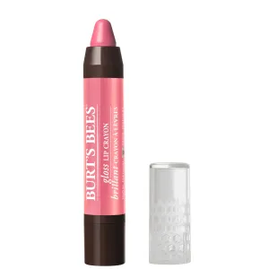Burt's Bees 100% Natural Moisturizing Gloss Lip Crayon, Pink Lagoon - 1 Crayon