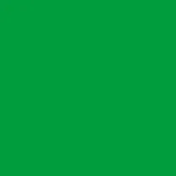 DELETER Neopiko-2 Dual-tipped Alcohol-based Marker - Glass Green (420)