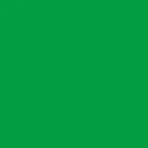 DELETER Neopiko-2 Dual-tipped Alcohol-based Marker - Glass Green (420)