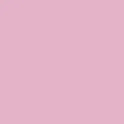 DELETER Neopiko-2 Dual-tipped Alcohol-based Marker - Mauvette (494)