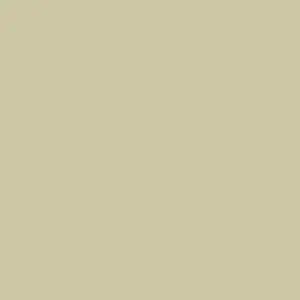 DELETER Neopiko-2 Dual-tipped Alcohol-based Marker - Sand (542)