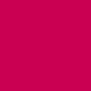 DELETER Neopiko-2 Dual-tipped Alcohol-based Marker - Strawberry (502)