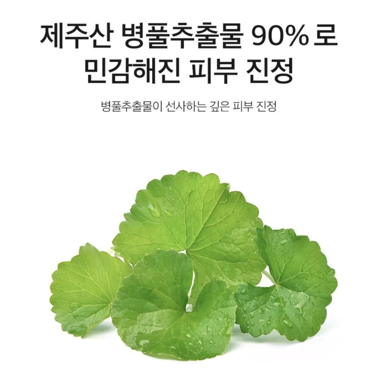 DERMA FACTORY Cica 90% Water Essence 150ml Skin Soothing Moisturizing Repair Centella Asiatica Extract