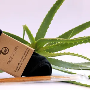 Face Mask Brush