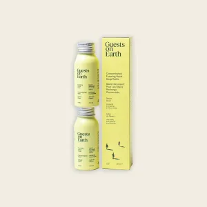 foaming hand soap refills - desert dawn