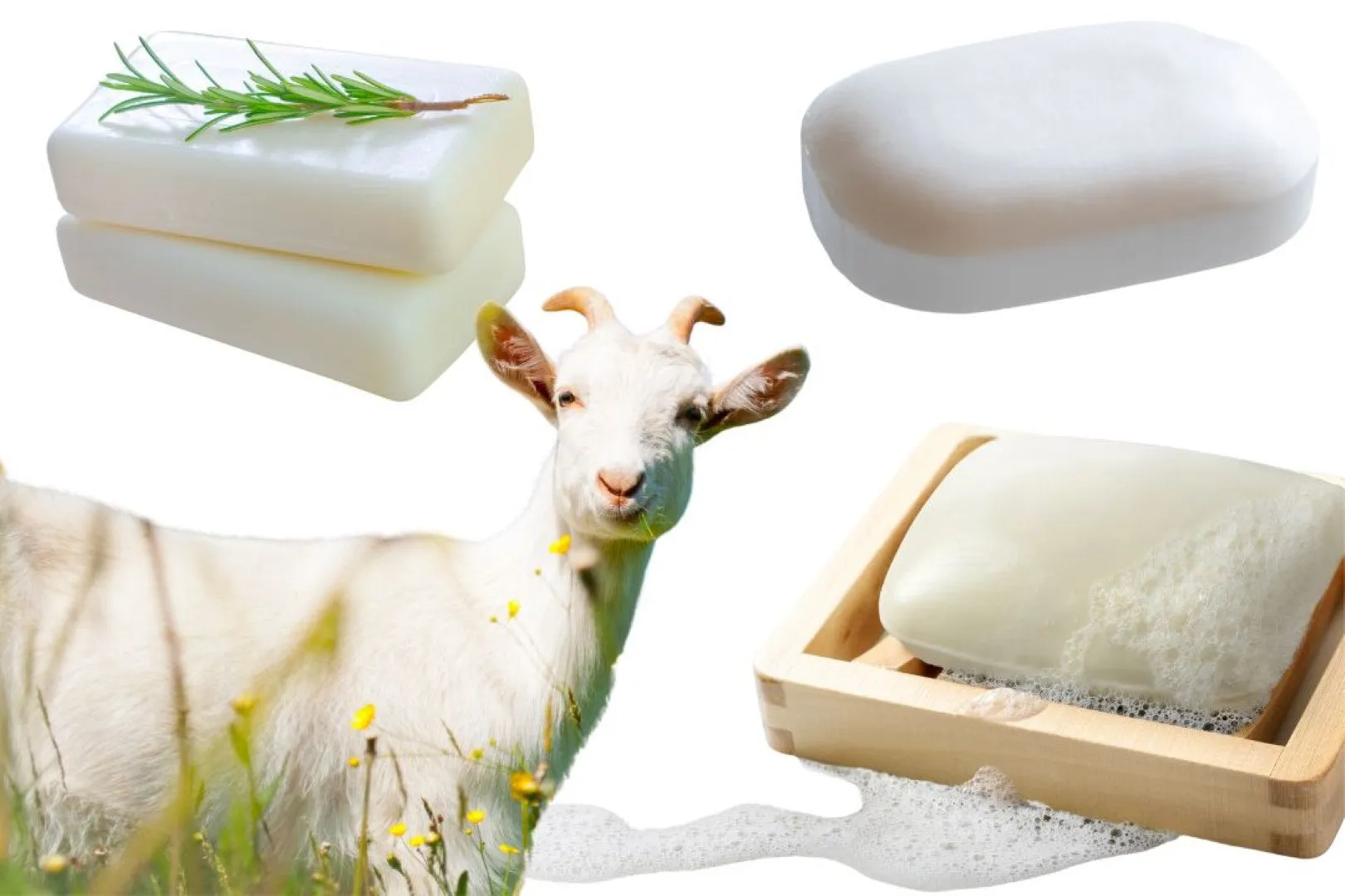 Goats Milk Soap Cleansing Bar