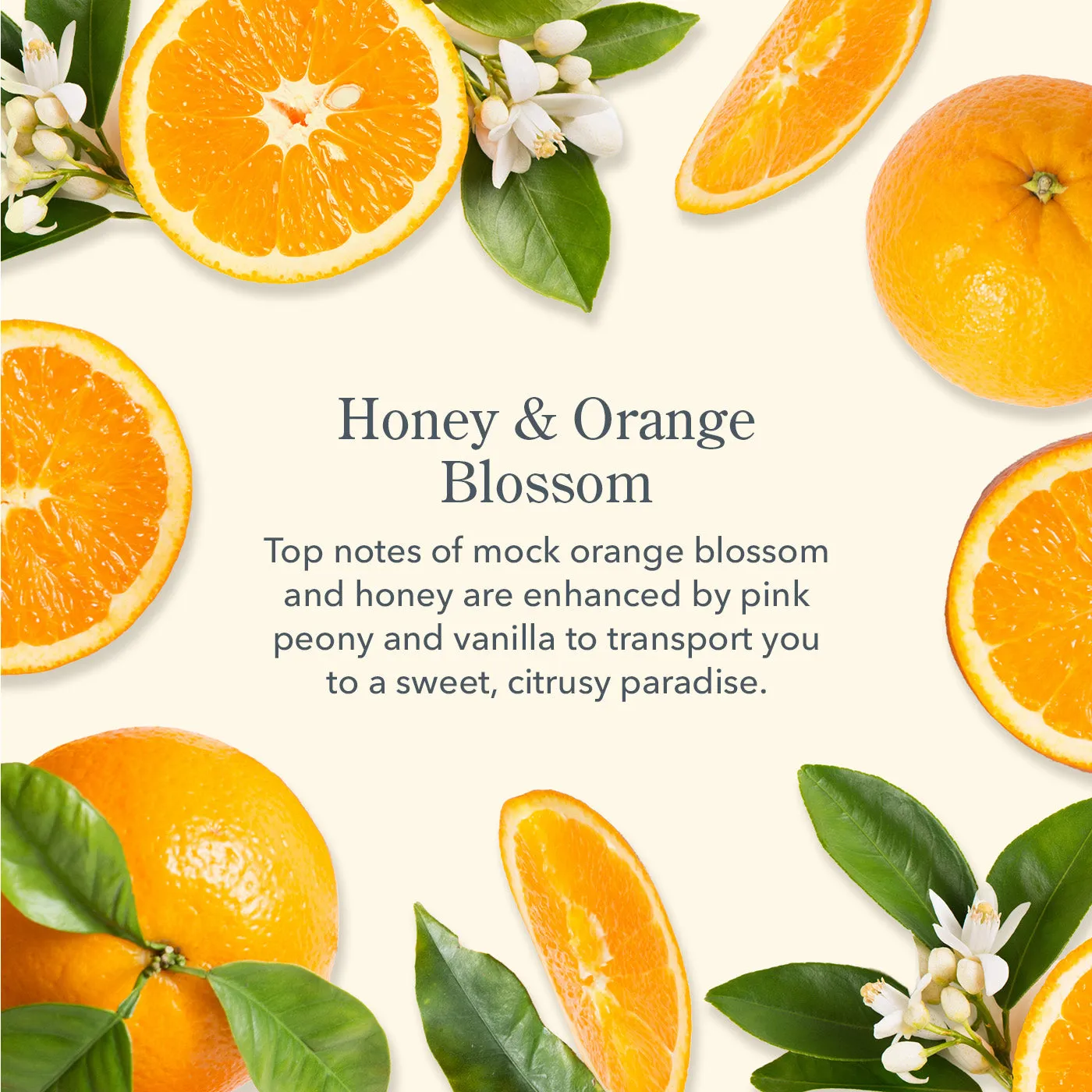 Honey & Orange Blossom Bodycare Minis Discovery Kit