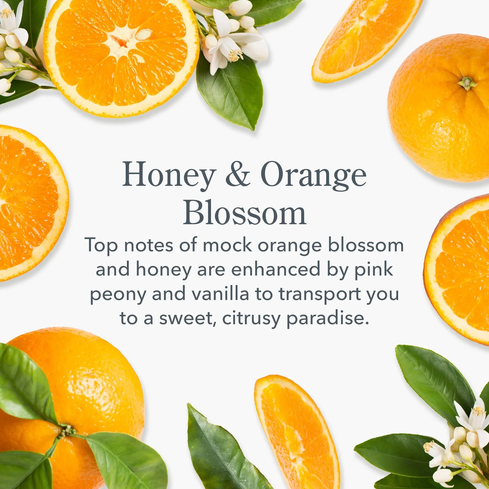 Honey & Orange Blossom Hand Cream 2 oz