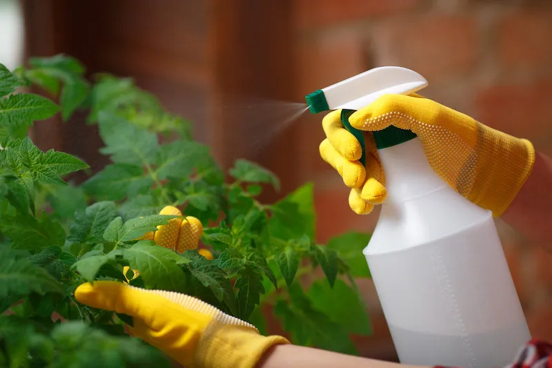 Horticultural Soap