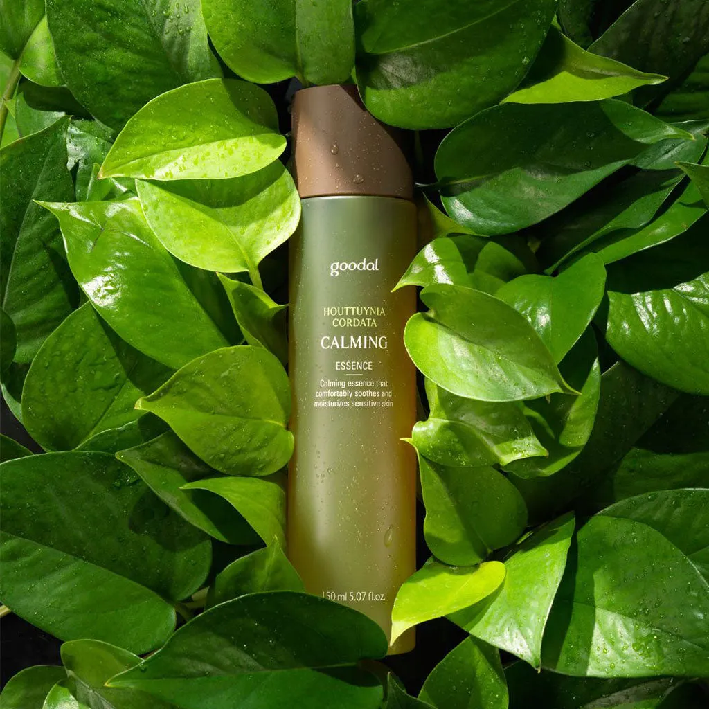 Houttuynia Cordata Calming Essence