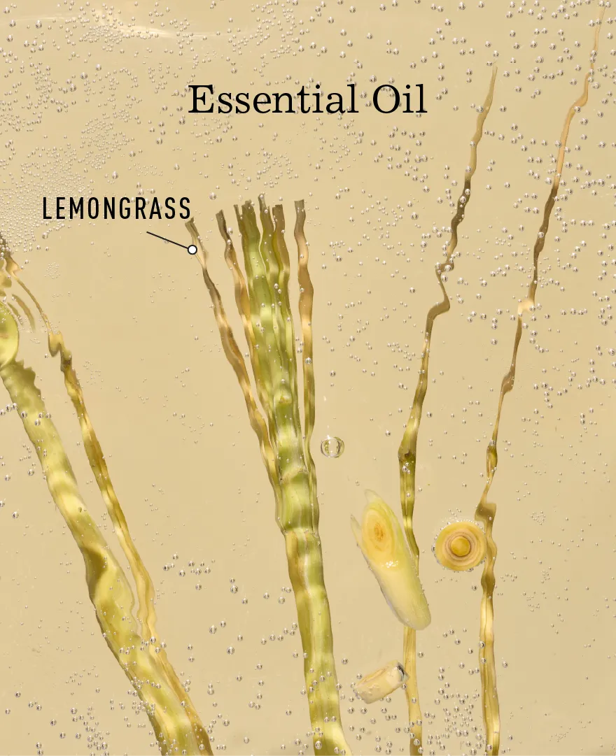 Lemongrass & Green Tea Bar Soap