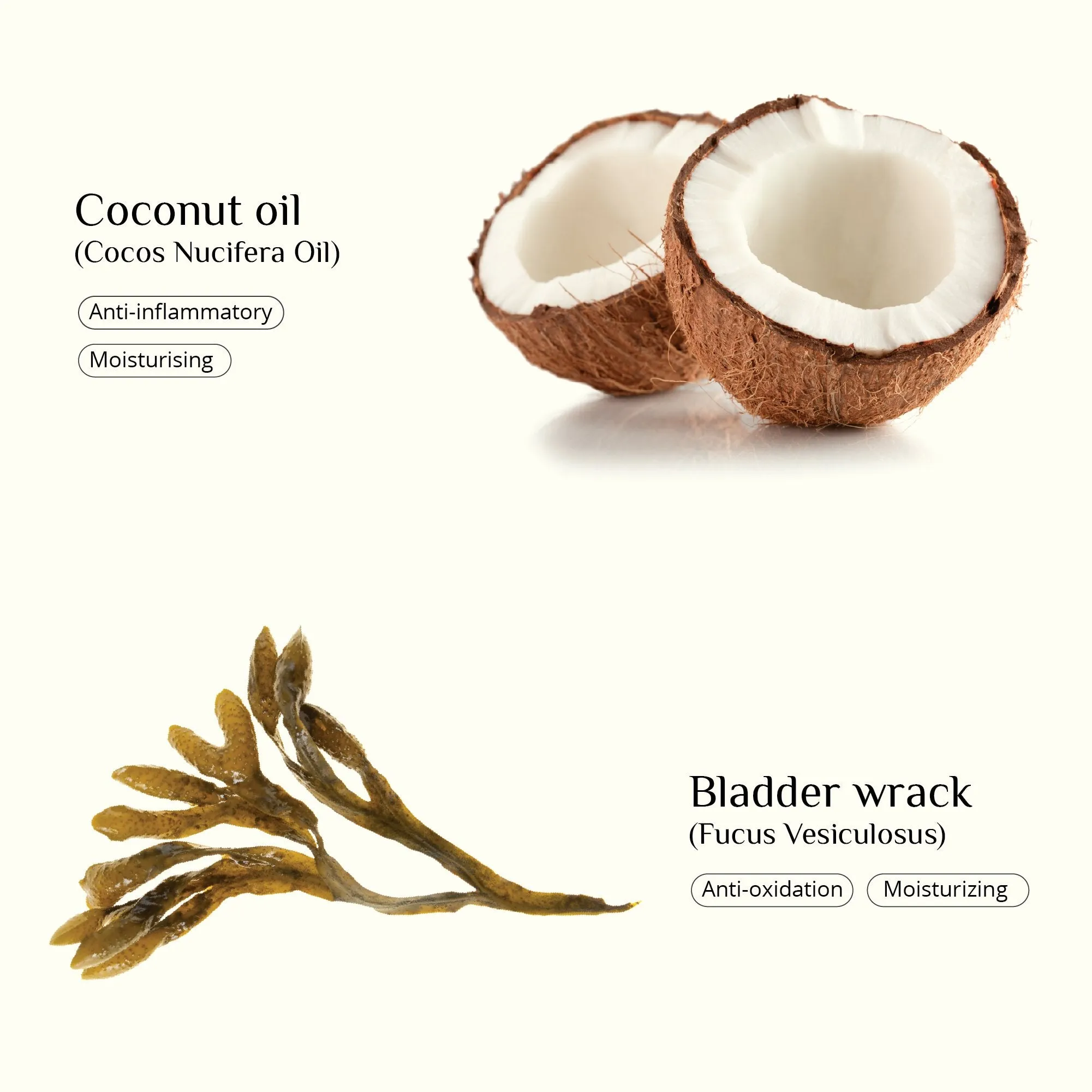 Moisturising Seaweed Lip Balm