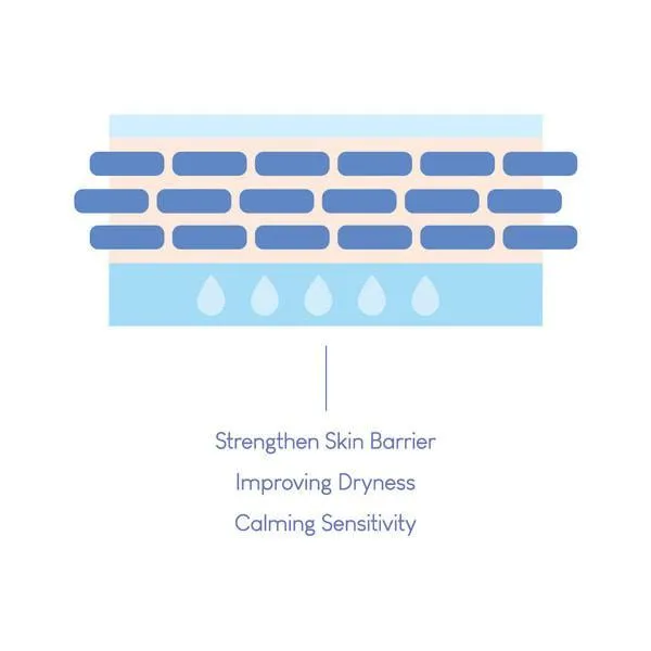 [PURITO] Dermide Cica Barrier Sleeping Pack 80ml