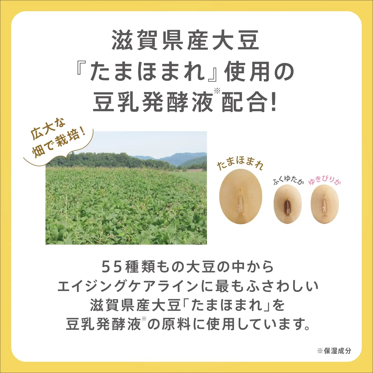 SANA Nameraka Honpo Isoflavone Wrinkle Gel Cream 100g