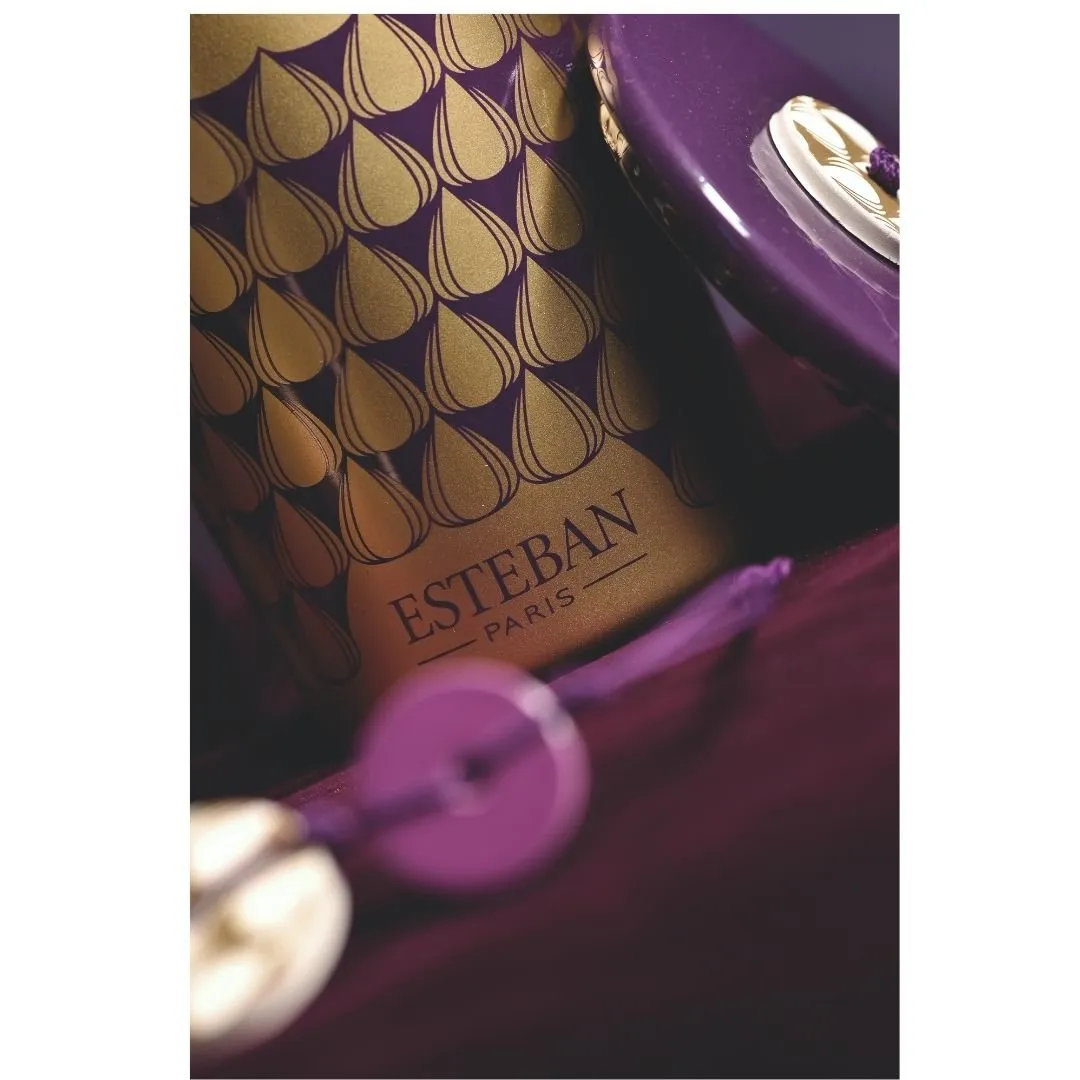 Scented & Refillable Decorative Candle - Esteban - Figue Noire