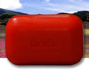 The Soap Works Carbolic Bar Soap (110g)