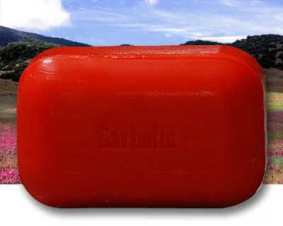 The Soap Works Carbolic Bar Soap (110g)