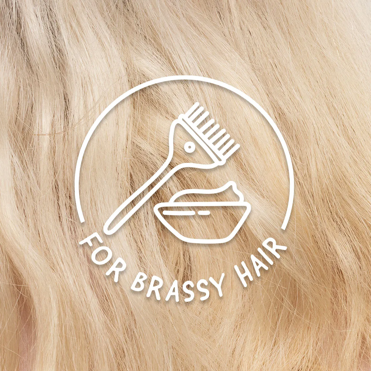 Tone It Down™ Gift Pack for Blonde and Silver Hair